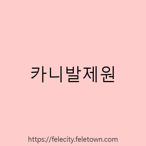 카니발제원 설명사진