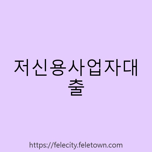 저신용사업자대출 설명사진