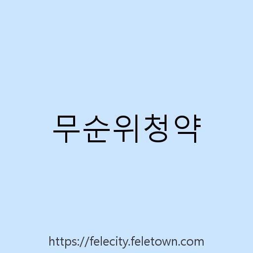 무순위청약 설명사진