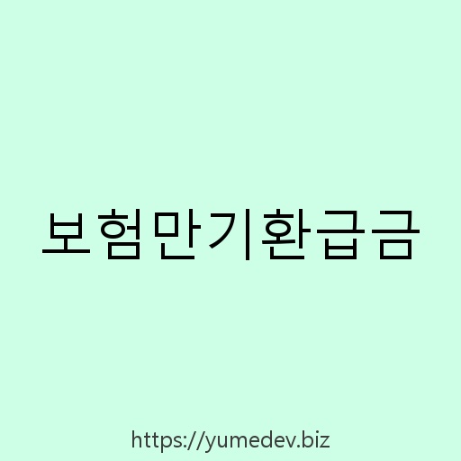 보험만기환급금 설명사진