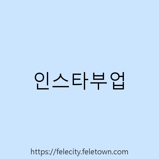인스타부업 설명사진