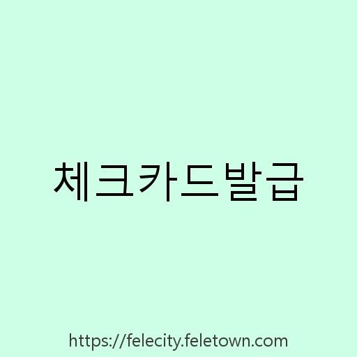체크카드발급 설명사진