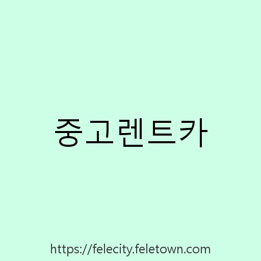 중고렌트카 설명사진
