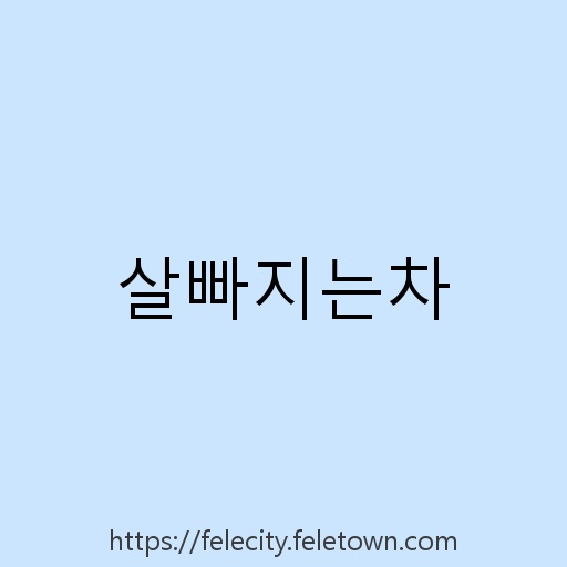 살빠지는차 설명사진