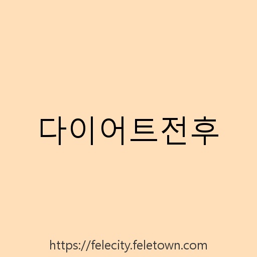 다이어트전후 설명사진