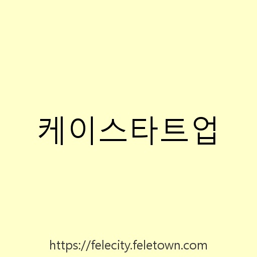 케이스타트업 설명사진