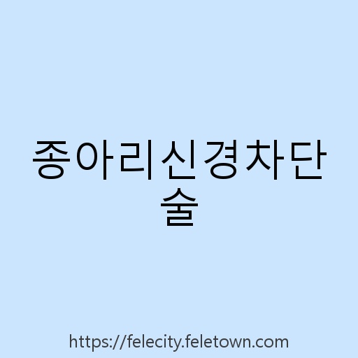 종아리신경차단술 설명사진
