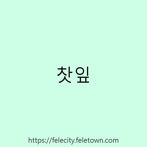 찻잎 설명사진