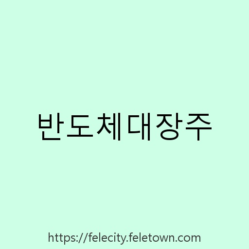 반도체대장주 설명사진