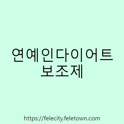 연예인다이어트보조제 설명사진