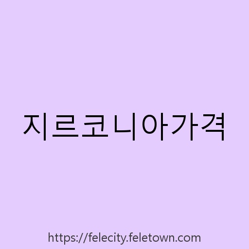 지르코니아가격 설명사진