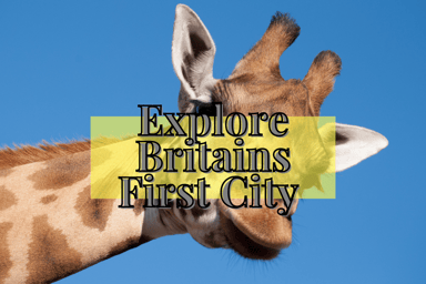 Explore Colchester - Britain's First City