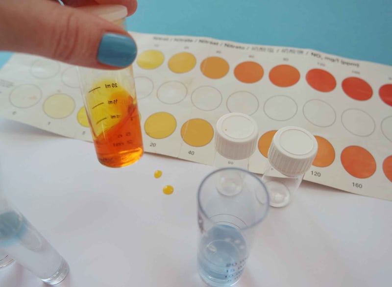 Wassertest zuhause