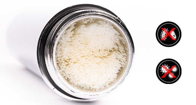 Campingfilter mit Keimsperre