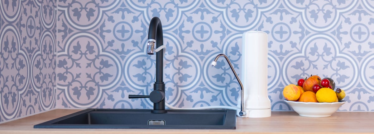 Moderne Küche mit Auftisch-Wasserfilter neben der Spüle und einer Obstschale