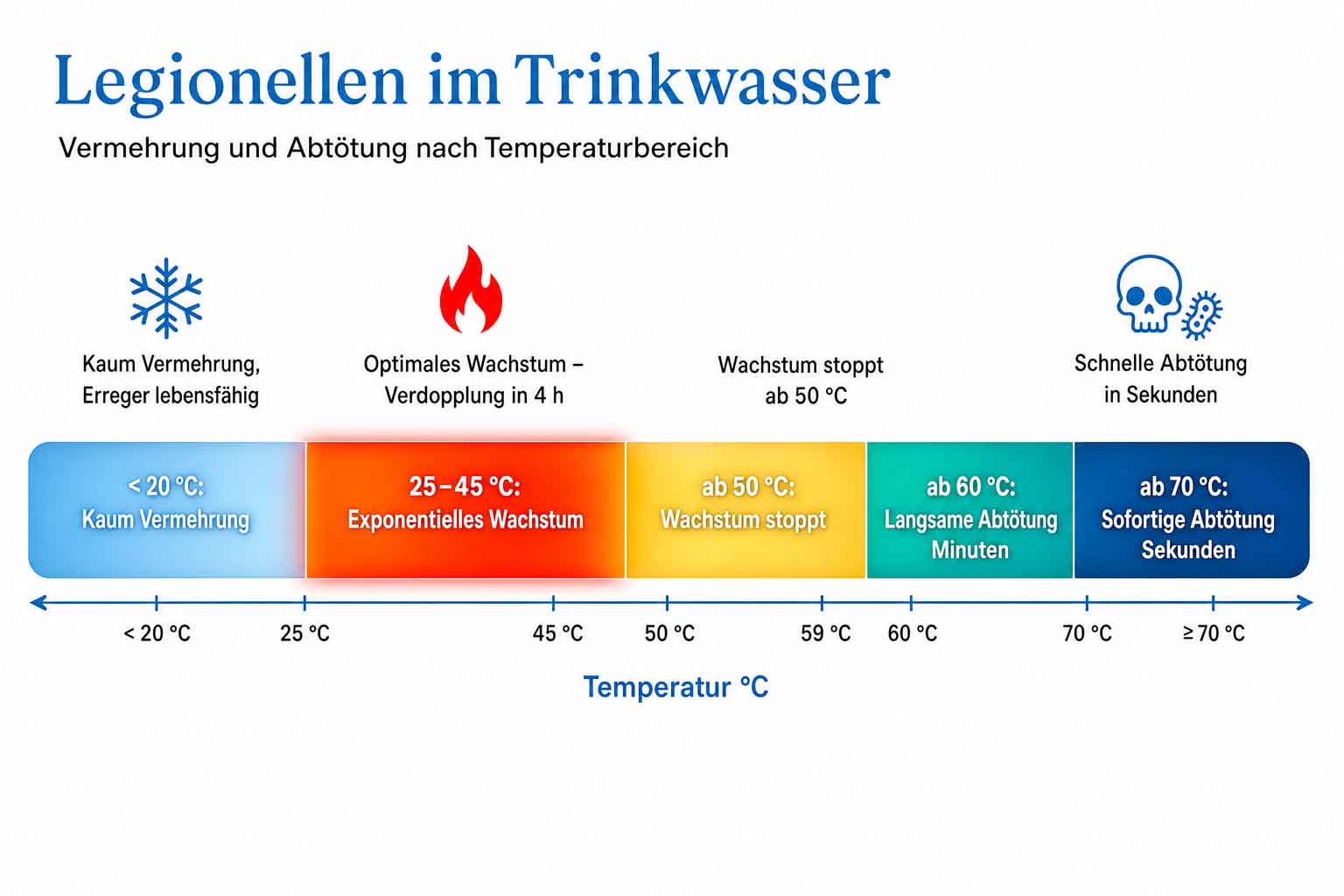 Legionellen im Trinkwasser