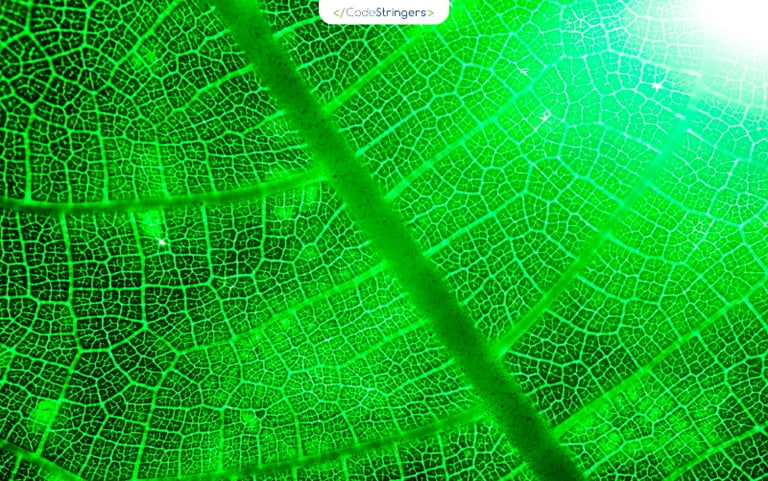 Green IT