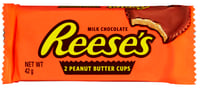 Reeses Peanut Butter Cup 42g