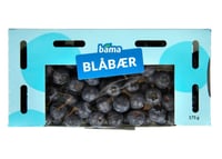 Blåbær 175g Papp
