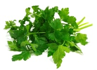 Bladpersille Potte Stor Bama