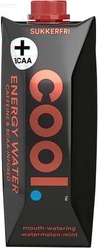 Cool Energy Water - Watermelon-mint 500 ml
