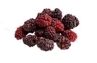 Bjørnebær 5x1kg Findus