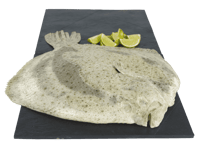 Domstein Piggvar Hel