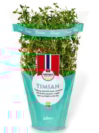 Timian 9cm Potte Gartner