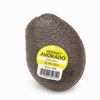 Modnet avokado