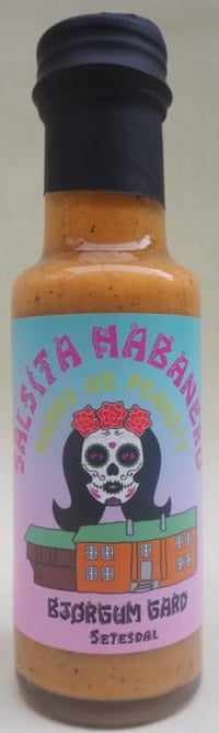 Salsita Habanero Mango/Peanøtt 132g Bjørgum Gard