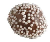 Punchknapper Løsvekt