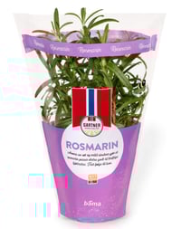 Rosmarin 9cm Potte Gartner
