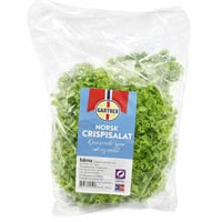 Norsk Crispisalat