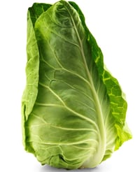 Spisskål 400g
