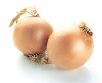 Løk Gul pr Kg First price