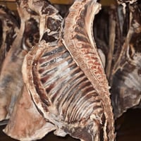 Pinnekjøtt Urøkt Ca1kg Alpelam fra Lyngen