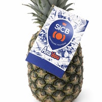 Ananas