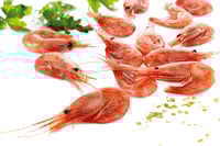 Reker, 90/130 Royal g