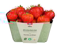 Jordbær 350g Økologisk