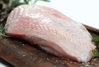 Kalkun Brystfilet Økol Ca600g Homlagarden