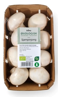 Champignon 200g Økologisk