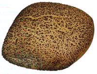 Fint Frokoststke 100g Mesterbakeren