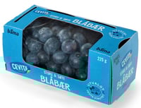 Blåbær i Beger 225g