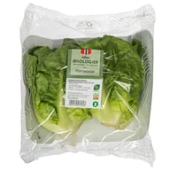 Hjertesalat 2pk Økologisk