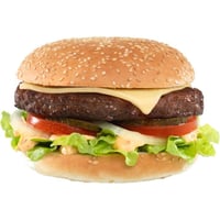 Hamburger Halal 33x160g