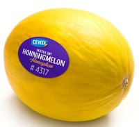Honningmelon hel Gul