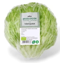 Isbergsalat 350g Økologisk