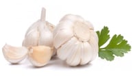 Hvitløk stykk