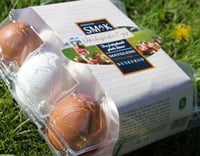 Egg Økologisk 9stk 540g Eventyrsmak