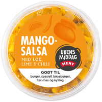 Mangosalsa 240g